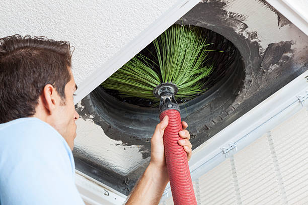 Best Ductwork Cleaning Services  in Wolf Creek, UT